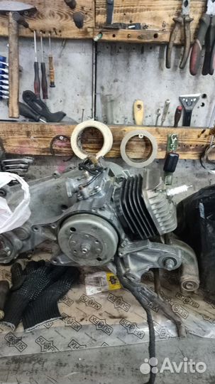 Suzuki Sepia NEW