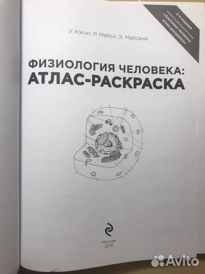 Физиология человека: атлас- раскраска У. Кэпит