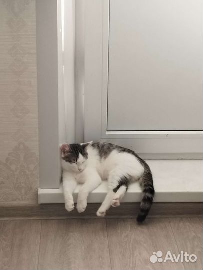 Очень ласковая девочка 5-6 месяцев