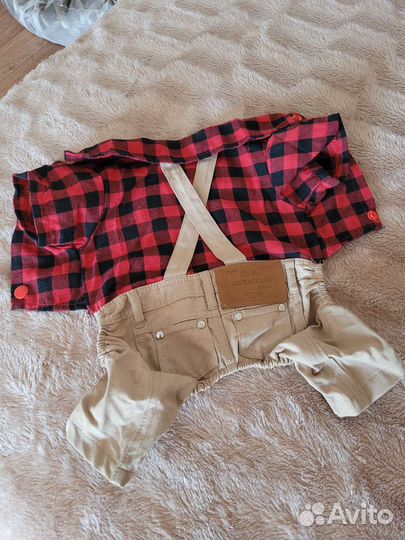 Одежда для собак мелких пород