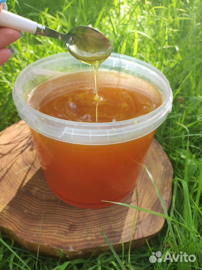 Натуральный мёд бесплатная доставка цена за 3 л