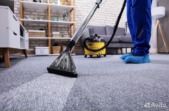 Аренда моющего пылесоса Karcher