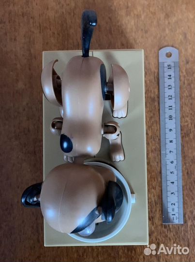 Копилка -собака ест монеты