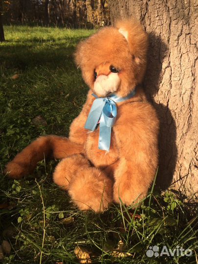 Кот Kaycee Bears Hand Made Ручная работа England
