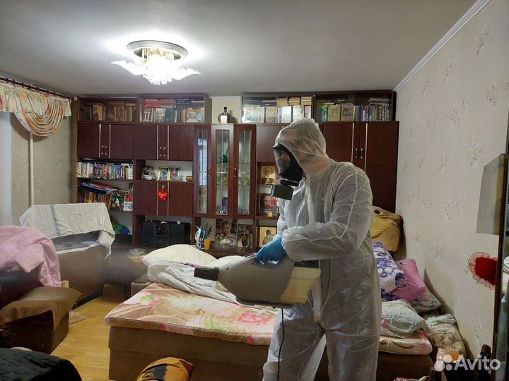 Уничтожение клопов, тараканов. Обработка участков