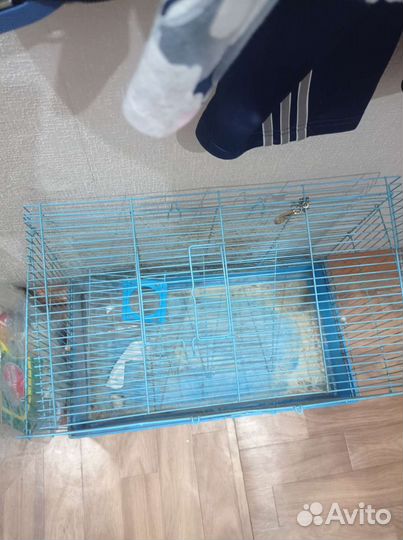 Клетка для крыс