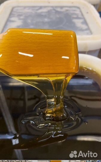 Мед гречишный свежий опт