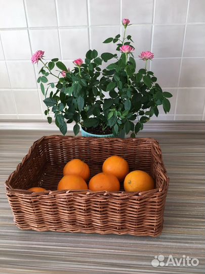 Корзина плетеная из бумажной лозы