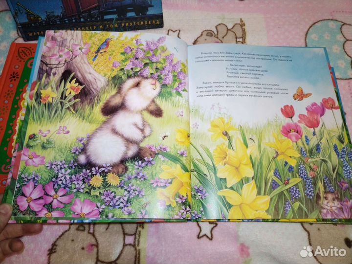 Детские книги:Чудесный поезд, заяц чудак, пороро