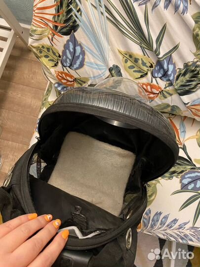 Переноска - рюкзак с окном