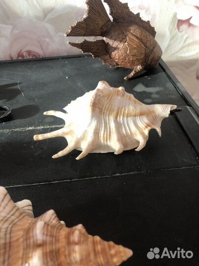 Украшение для аквариума