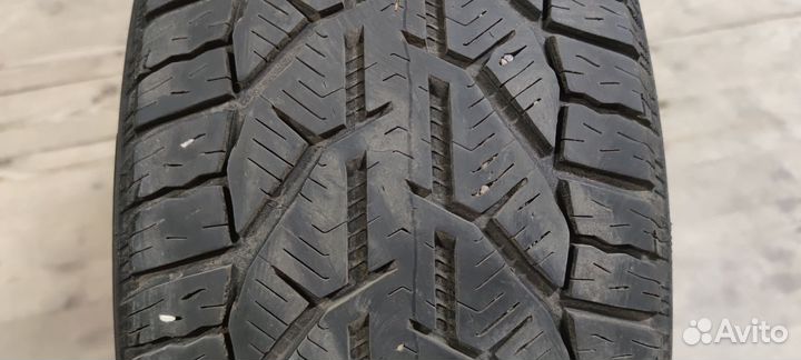 Tigar Winter 215/50 R17 95V