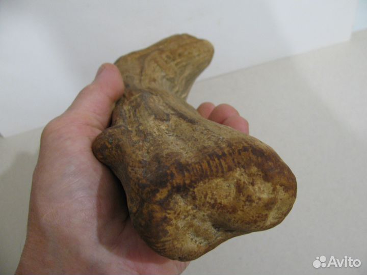 Окаменелое дерево (в коллекцию)