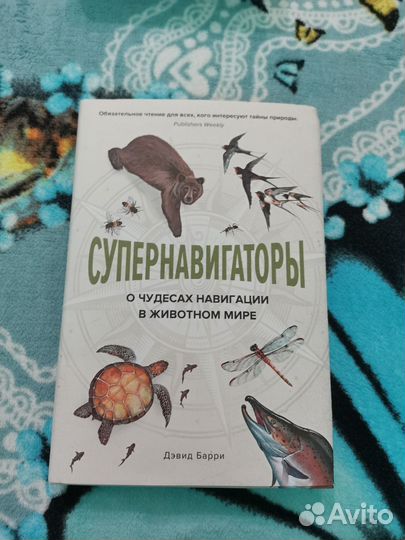 Новая книга