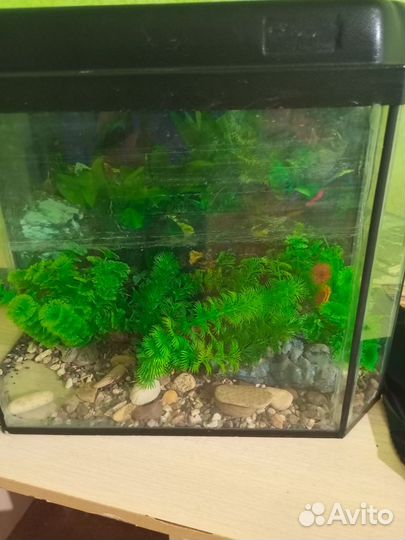 Аквариум