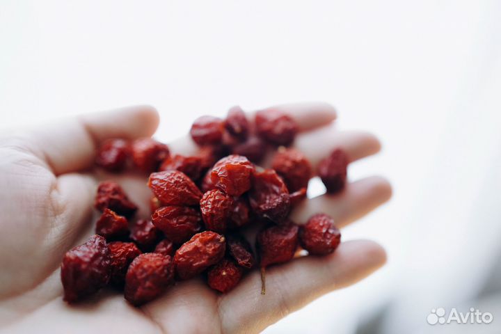 Шиповник доставка