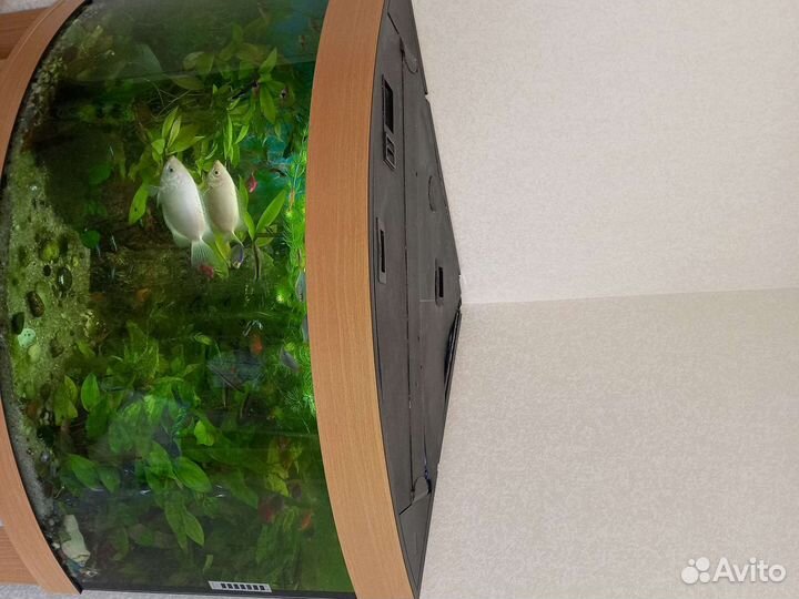 Крышки аквариума Juwel