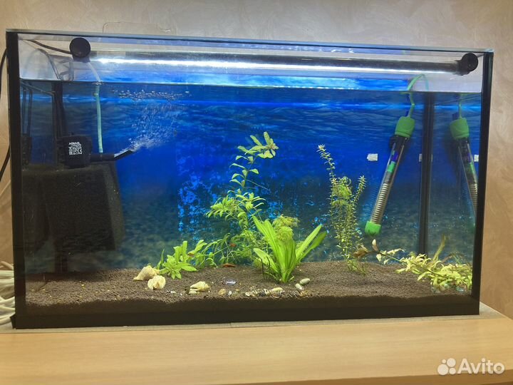 Аквариум