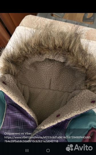 Одежда для маленьких собак