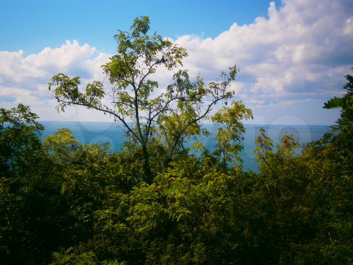 Коттедж 20 м² на участке 7 сот.