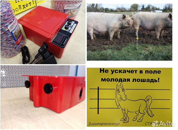 Электроизгородь