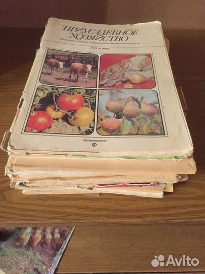 Журналы Приусадебное хозяйство 89г