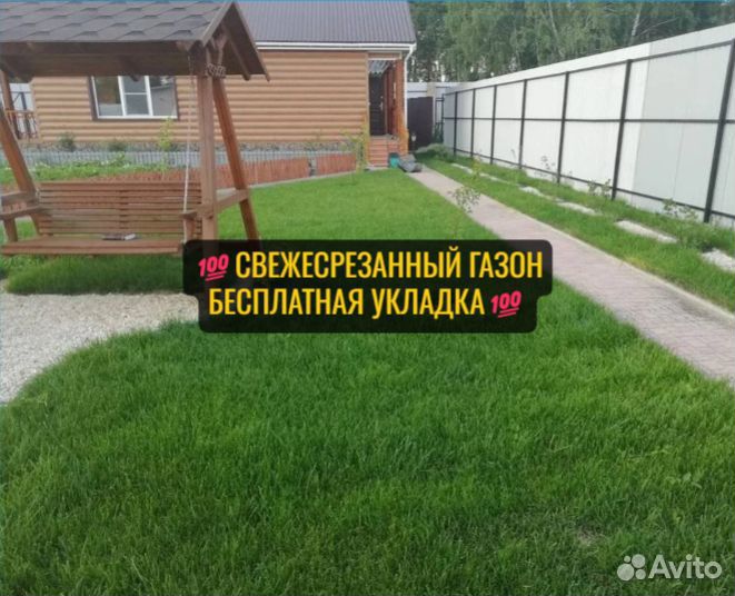 Рулонный газон Элитный Канадский Мятлик под ключ