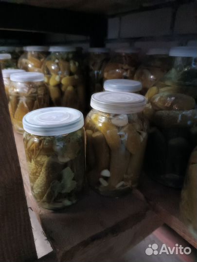 Огурцы,помидоры и тыквы со своего огорода