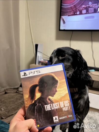 The last of us part 1 ps5
