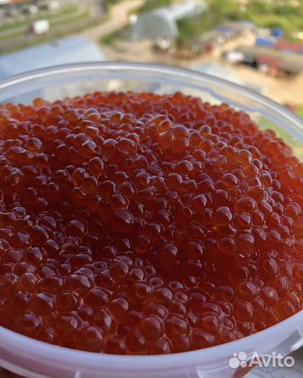 Икра Горбуши 250 г. в наличии