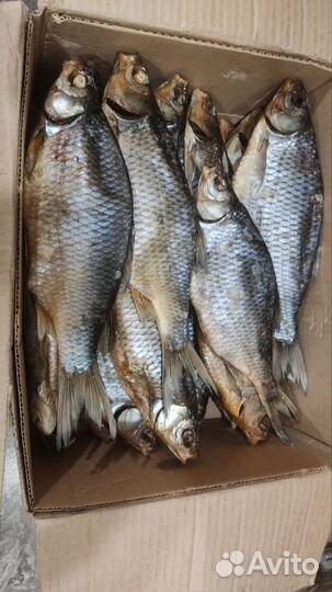 Вобла, чехонь, тарань, балыки из Астрахани