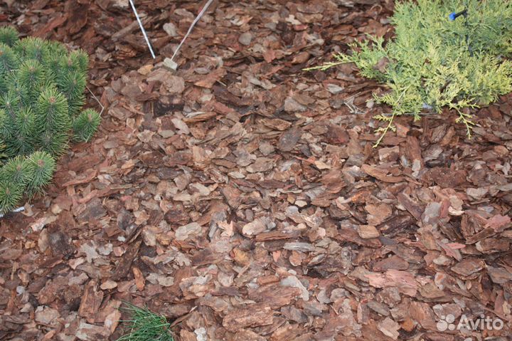 Кора, мульча лиственницы, сосны. 