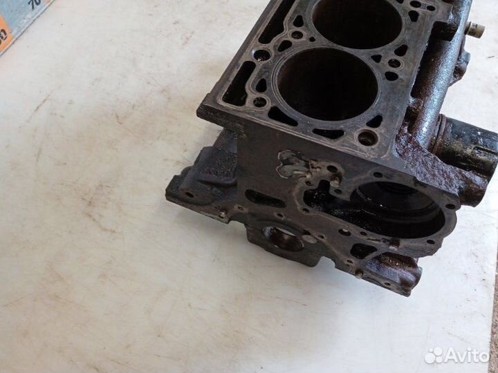 Блок двигателя Renault Kangoo