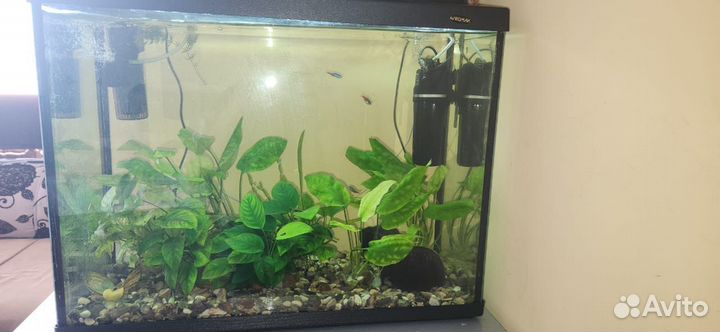 Аквариум