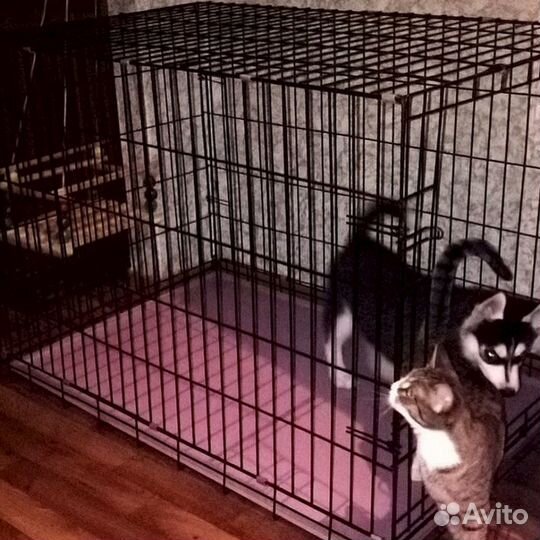 Клетка вольеры для собак