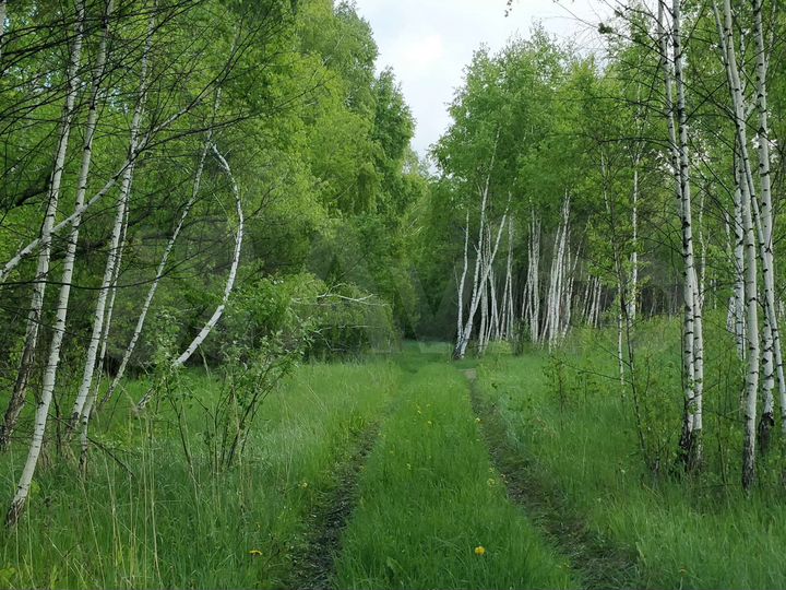 Участок 60 га (СНТ, ДНП)