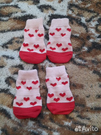 Носочки для маленькой собачки