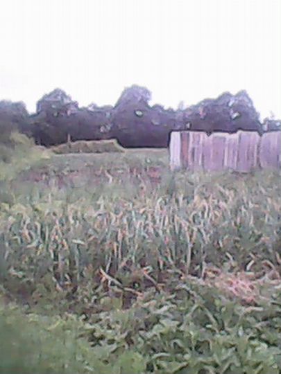 Дом 30 м² на участке 10 сот.