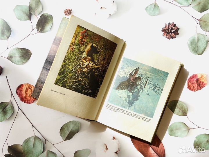 Комплект фотоальбомов кмнс и Магаданская область