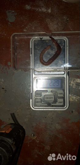 Червь дендробена