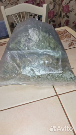 Листья смородины