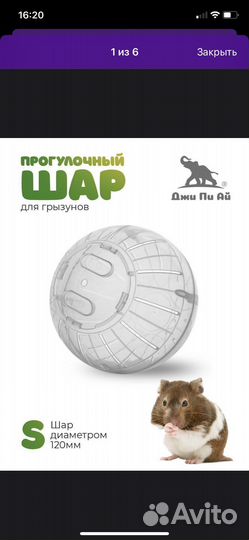 Шарик для хомяка