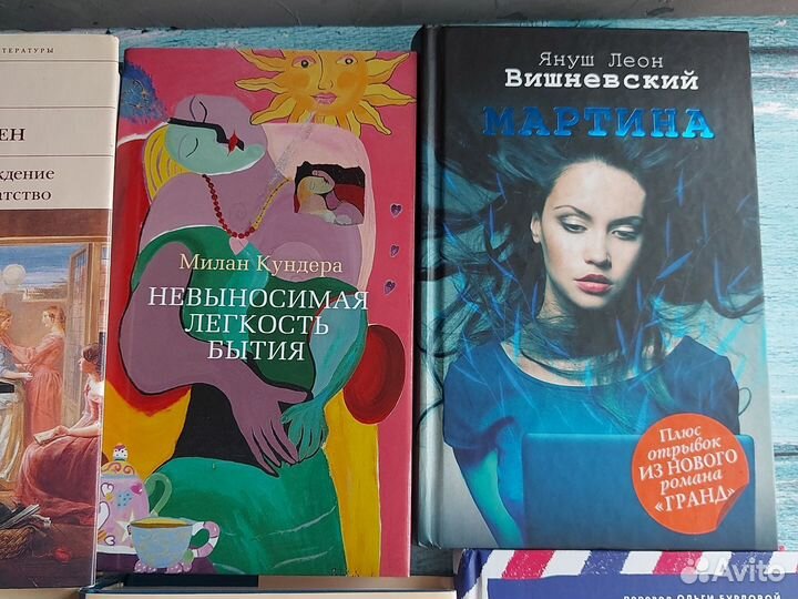 Книги Остин Цветаева Кундера Барбери Вишневский