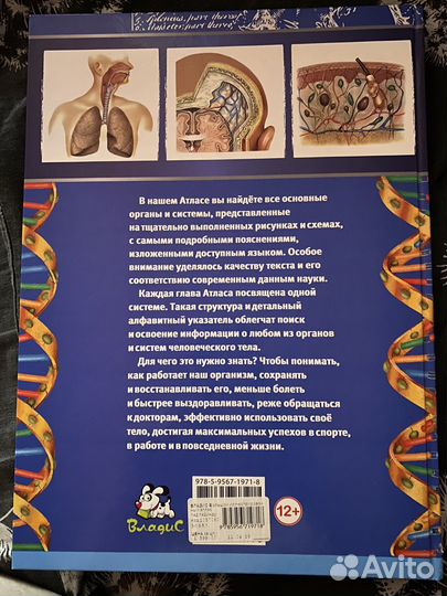 Атлас анатомии человека