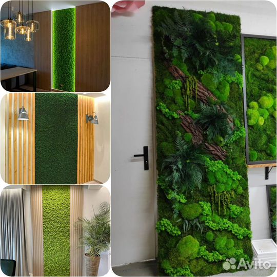 Панно. Картины. Стабилизированный мох. Арт189, от
