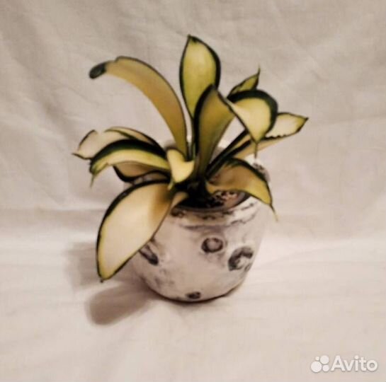 Кашпо бетонное ручной работы - Луна