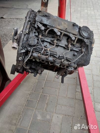 Мотор ford transit 2.2 задний привод