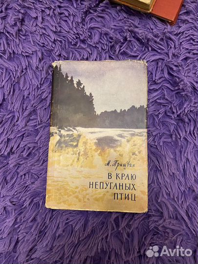 В краю непуганных птиц
