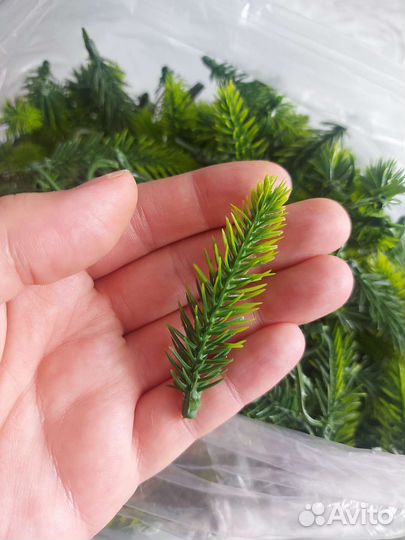 Еловые лапки декор