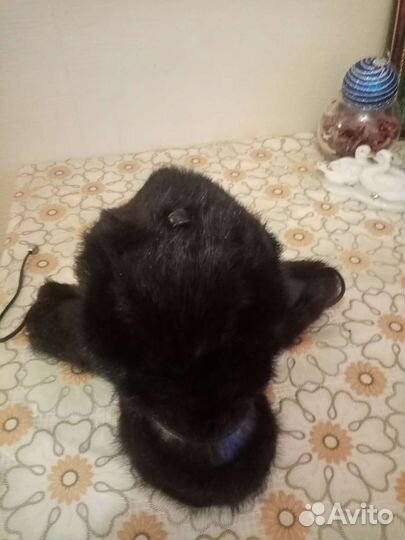 Верхняя одежда, обувь